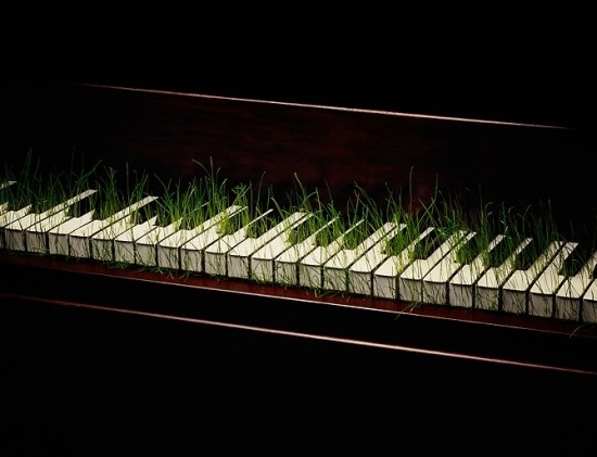 creative-photo-manipulation-nancy-fouts
